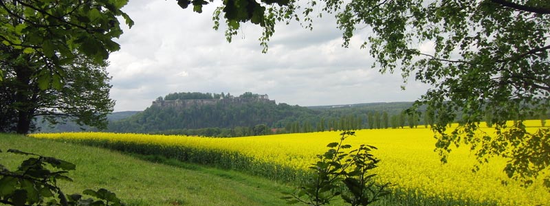 Blick vom Wanderweg am Lilienstein zum Königstein