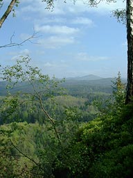 Blick in die Hintere Sächsische Schweiz bei Hinterhermsdorf