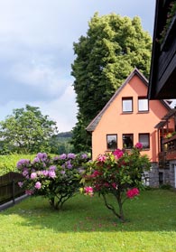 Unser Ferienhaus mit Rhododendron