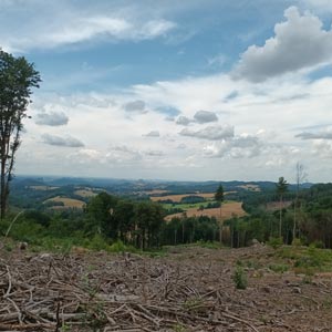 Blick auf Schrammsteine